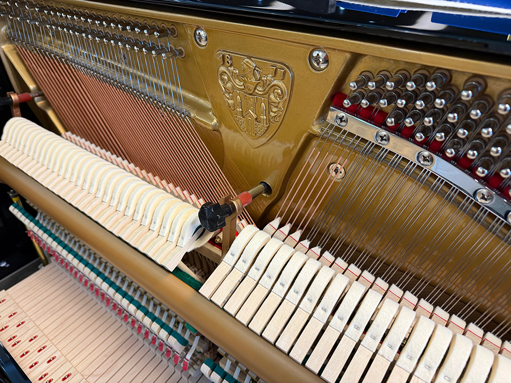 Wilh. Steinberg P118 - Afbeelding 6