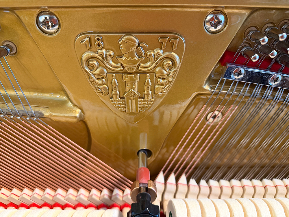 Wilh. Steinberg P118 - Afbeelding 7