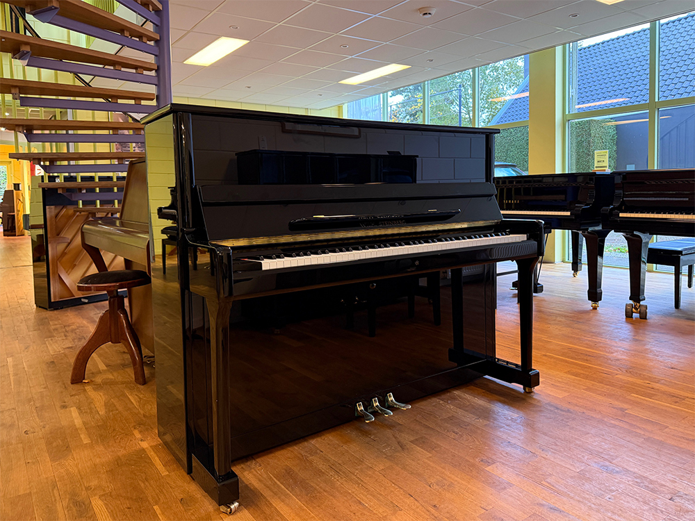 Wilh. Steinberg P118