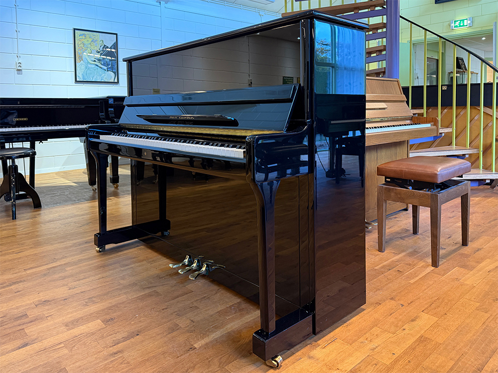 Wilh. Steinberg P118 - Afbeelding 2