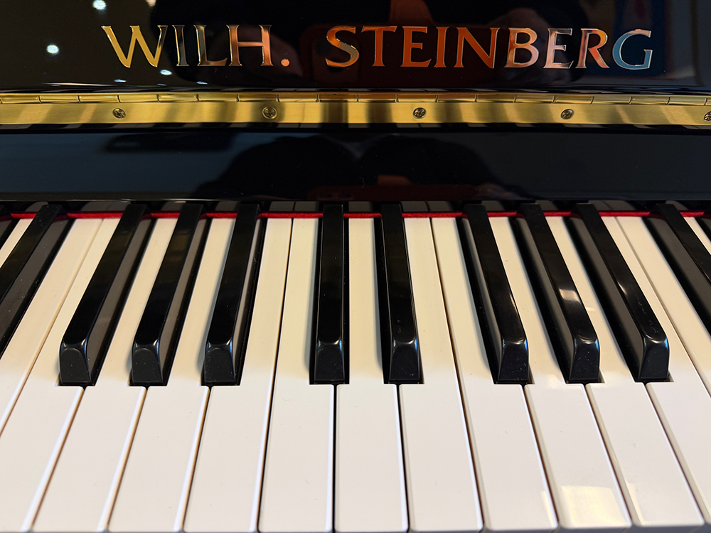 Wilh. Steinberg P118 - Afbeelding 3