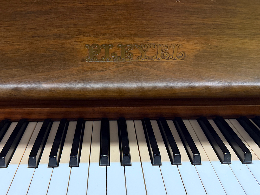Pleyel (by Schimmel) - Afbeelding 5