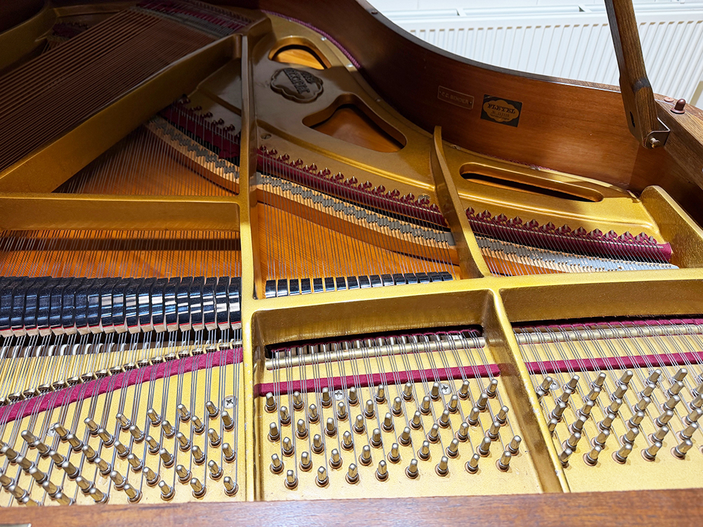 Pleyel (by Schimmel) - Afbeelding 6