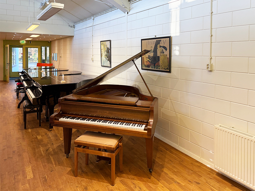 Pleyel (by Schimmel)