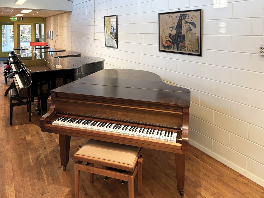 Pleyel (by Schimmel) - Afbeelding 4