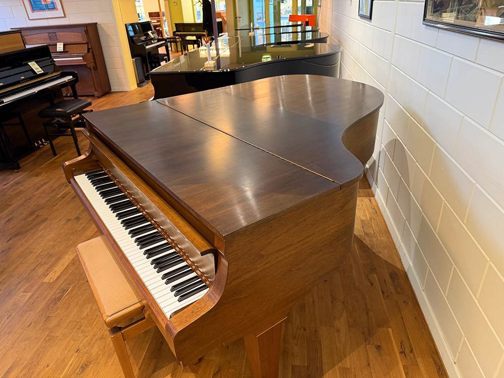 Pleyel (by Schimmel) - Afbeelding 3