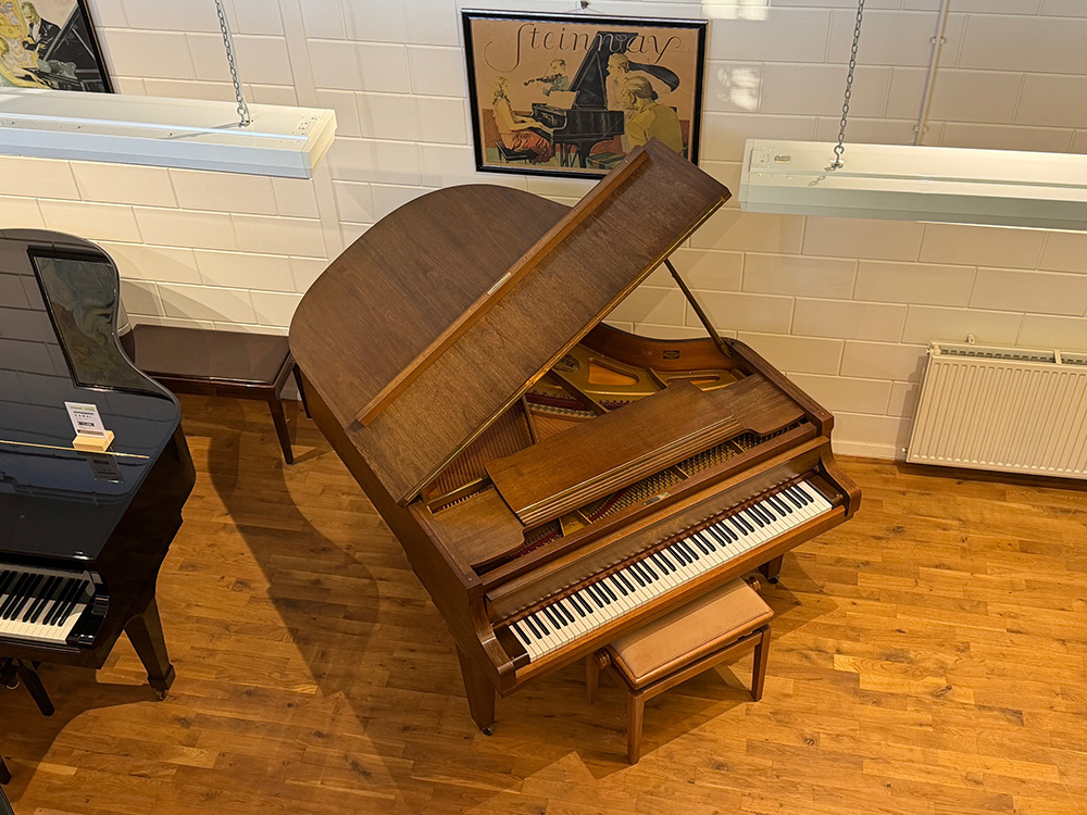 Pleyel (by Schimmel) - Afbeelding 2