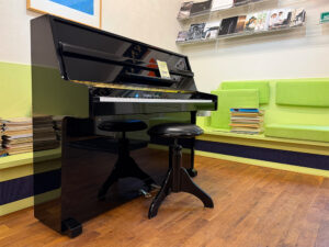 Young Chang - model 100