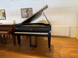 Schimmel 174 T