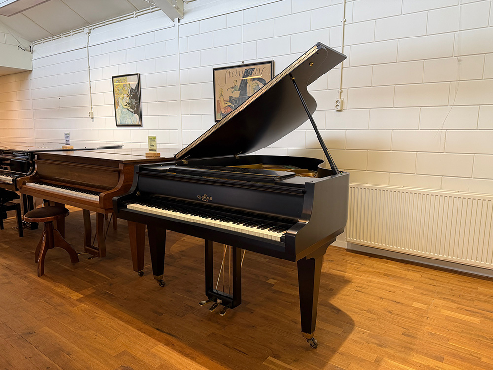 Schimmel 174 T - Afbeelding 2