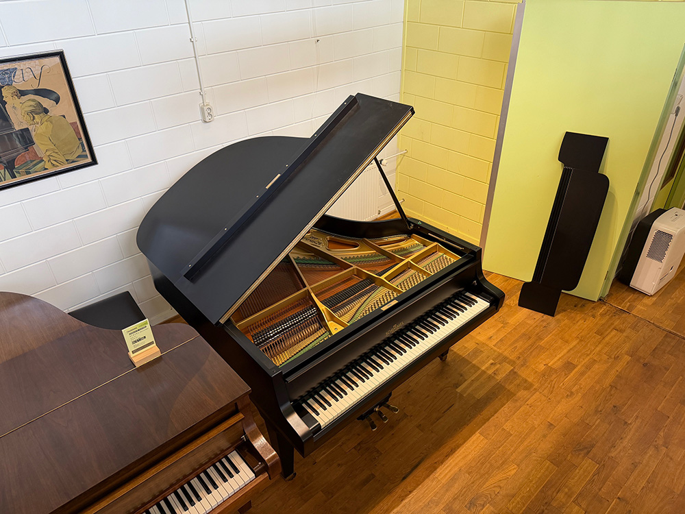 Schimmel 174 T - Afbeelding 3