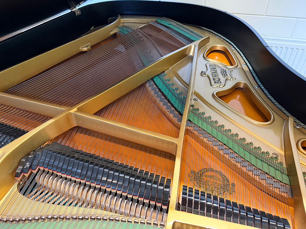 Schimmel 174 T - Afbeelding 4