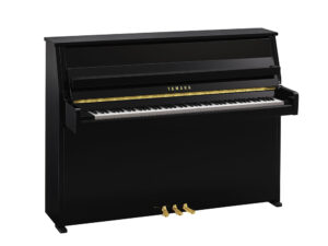 Yamaha B10