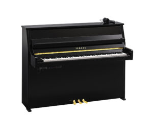 Yamaha B10 SC3