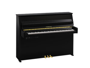 Yamaha B10 TC3