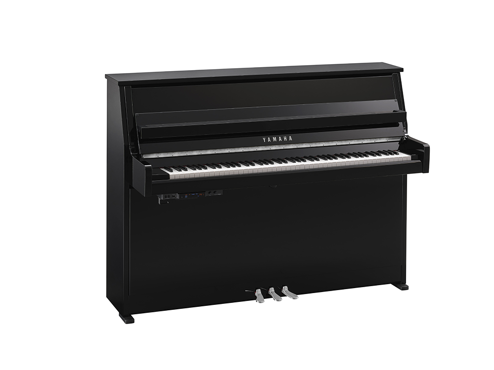 Yamaha B10 TC3 - Afbeelding 2