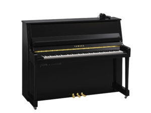 Yamaha B20 SC3