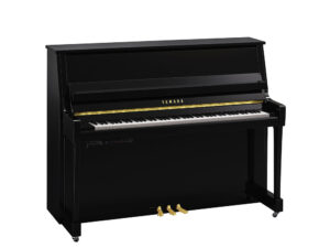 Yamaha B20 TC3