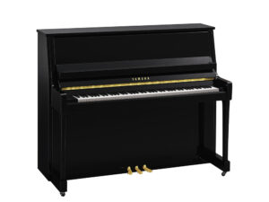 Yamaha B30