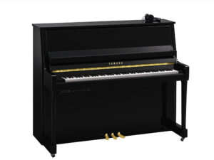 Yamaha B30 SC3