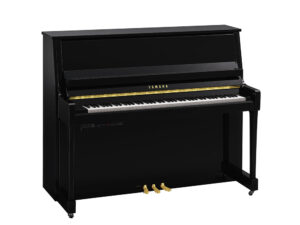 Yamaha B30 TC3