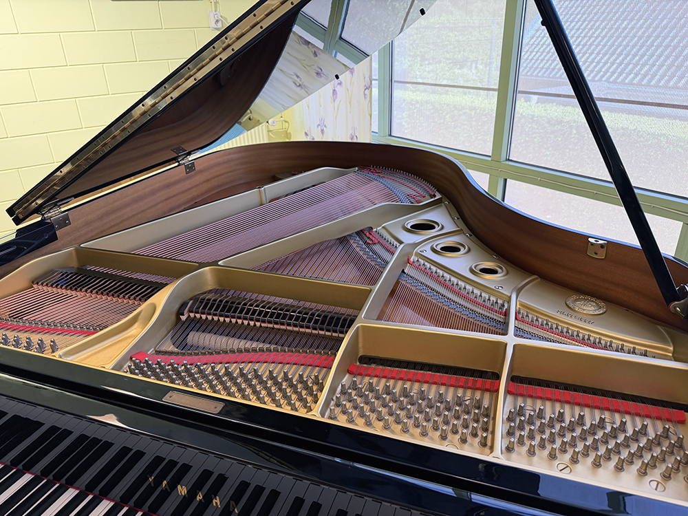 Yamaha G2 RE - Afbeelding 2