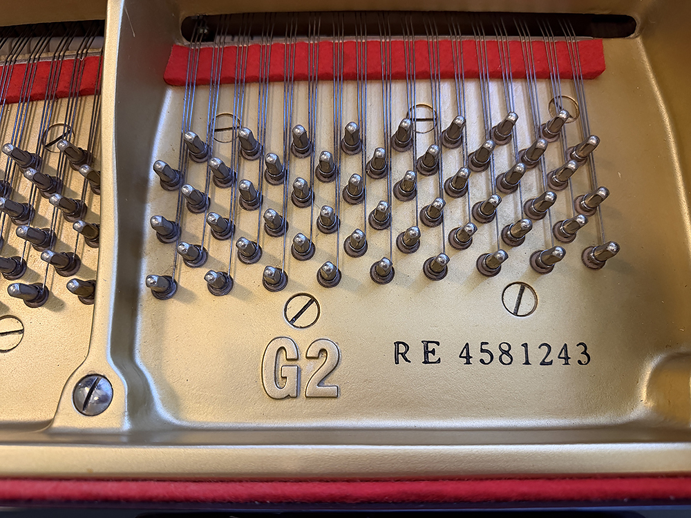 Yamaha G2 RE - Afbeelding 3