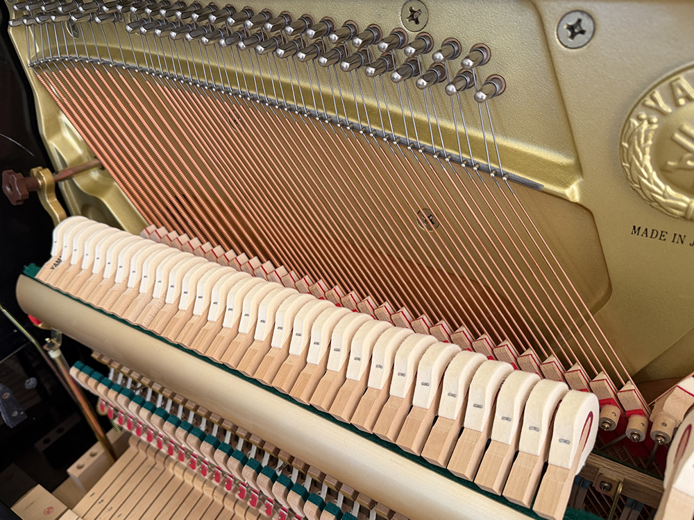 Yamaha U1 - Afbeelding 6
